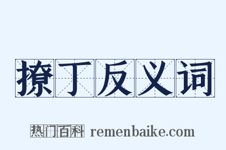 撩丁反义词是什么意思的图片